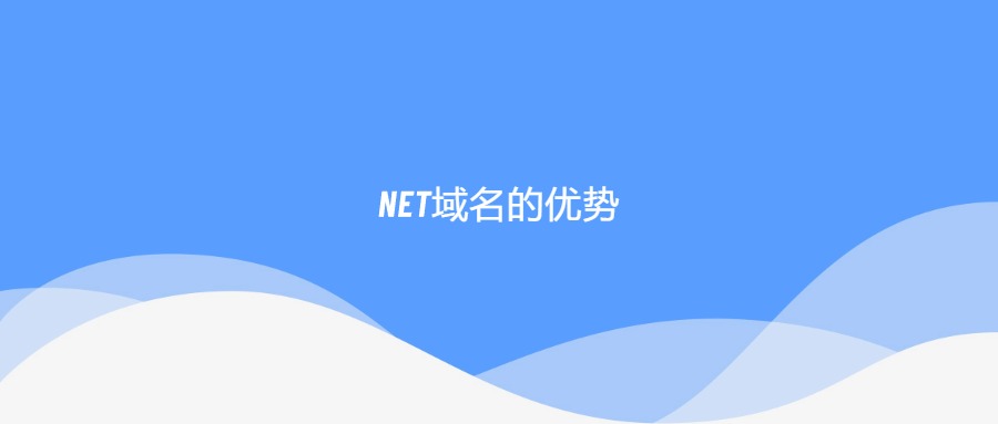 net域名的优势