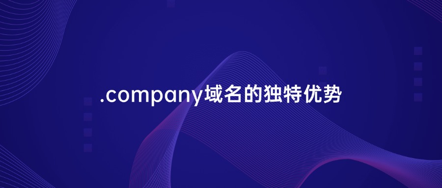 .company域名的独特优势