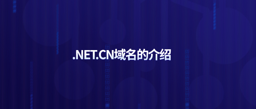 .NET.CN域名的介绍